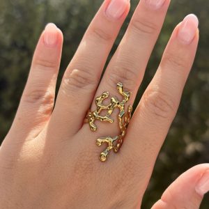 Anillo Coral
