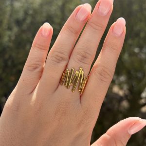 Anillo Barras