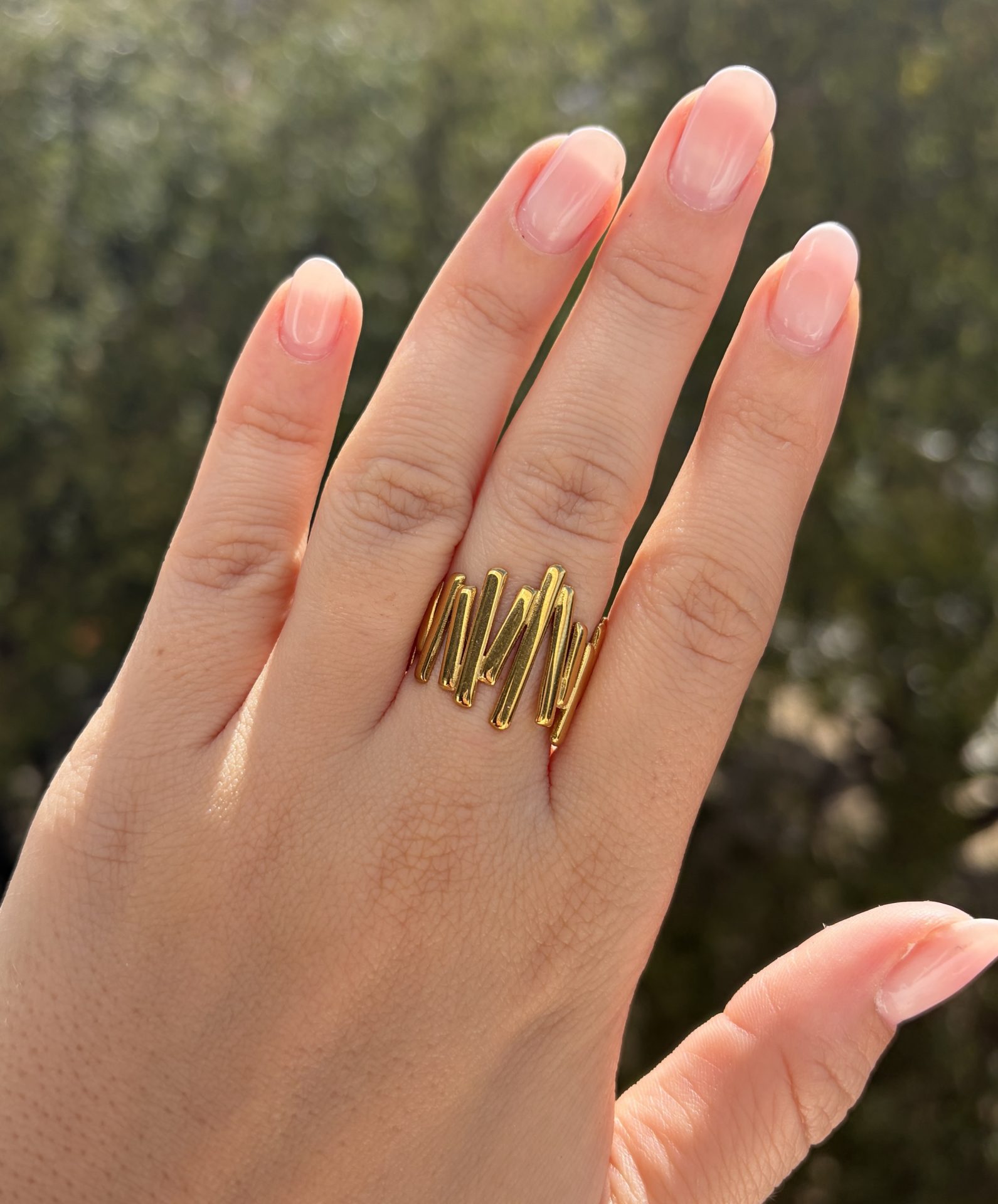 Anillo Barras