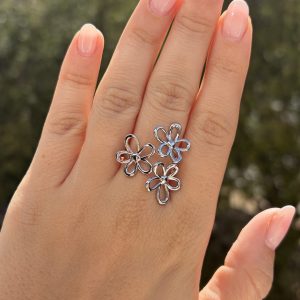 Anillo Jardín
